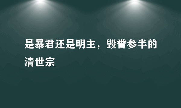 是暴君还是明主，毁誉参半的清世宗