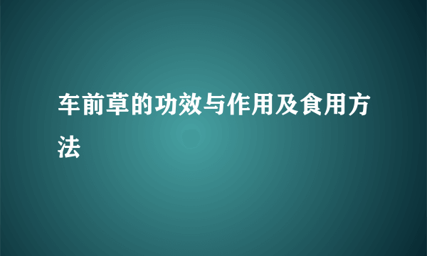 车前草的功效与作用及食用方法