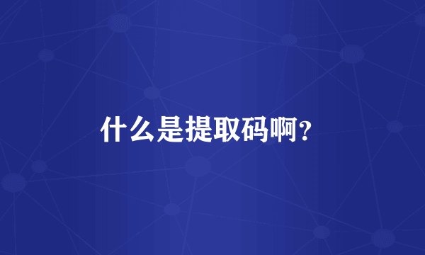 什么是提取码啊？