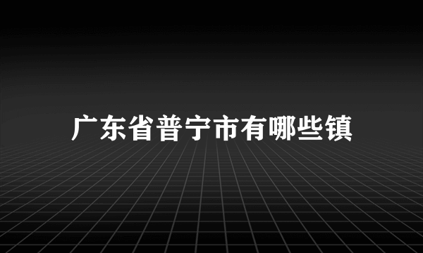 广东省普宁市有哪些镇