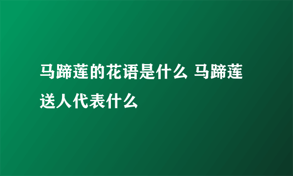 马蹄莲的花语是什么 马蹄莲送人代表什么