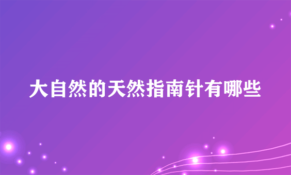 大自然的天然指南针有哪些