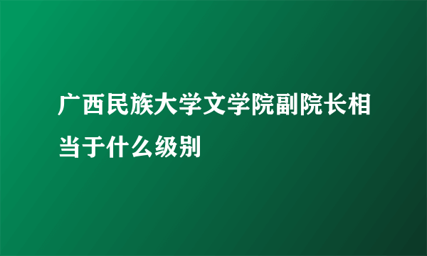 广西民族大学文学院副院长相当于什么级别