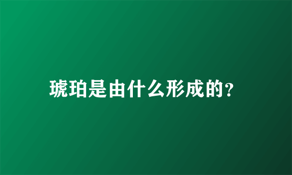 琥珀是由什么形成的？