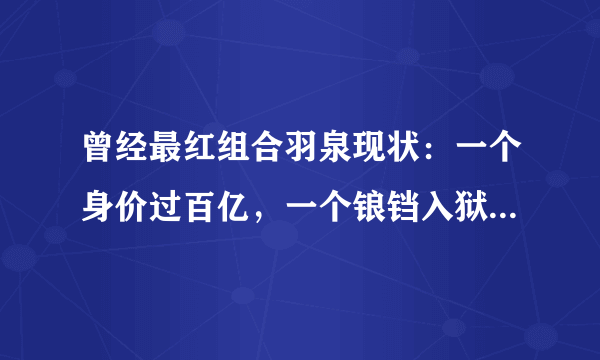 曾经最红组合羽泉现状：一个身价过百亿，一个锒铛入狱模样大变