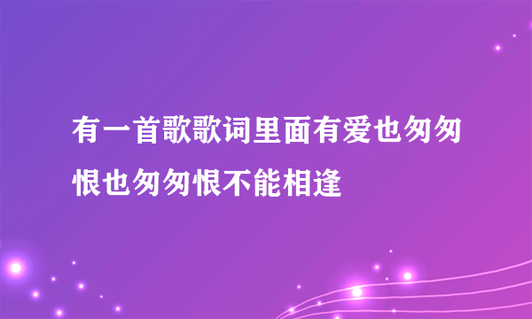 有一首歌歌词里面有爱也匆匆恨也匆匆恨不能相逢