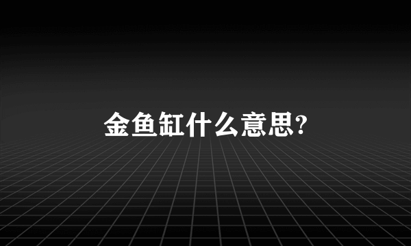 金鱼缸什么意思?