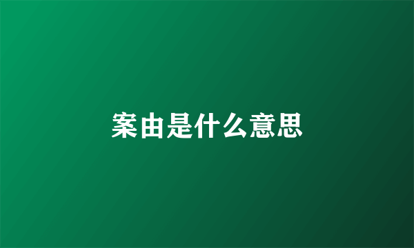 案由是什么意思