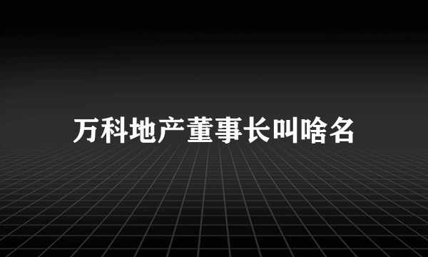 万科地产董事长叫啥名