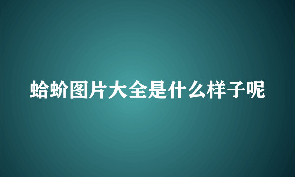 蛤蚧图片大全是什么样子呢