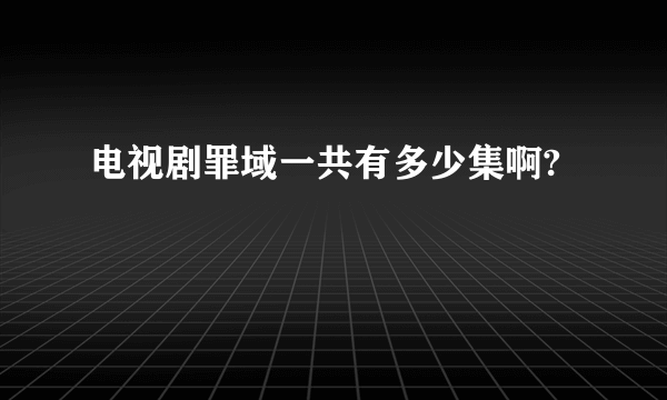 电视剧罪域一共有多少集啊?