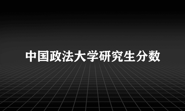 中国政法大学研究生分数