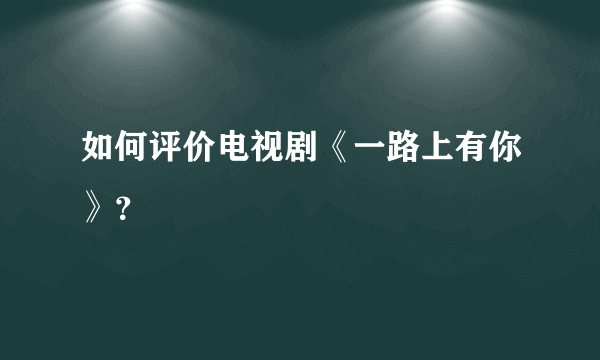 如何评价电视剧《一路上有你》？