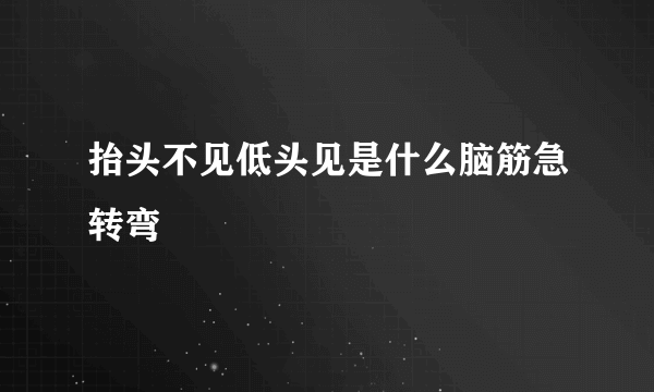 抬头不见低头见是什么脑筋急转弯