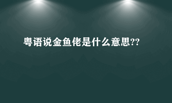 粤语说金鱼佬是什么意思??