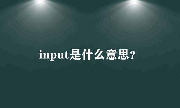 input是什么意思？