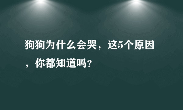 狗狗为什么会哭，这5个原因，你都知道吗？