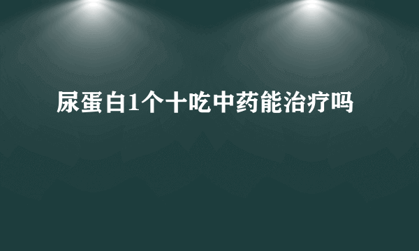 尿蛋白1个十吃中药能治疗吗