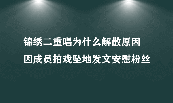 锦绣二重唱为什么解散原因 因成员拍戏坠地发文安慰粉丝