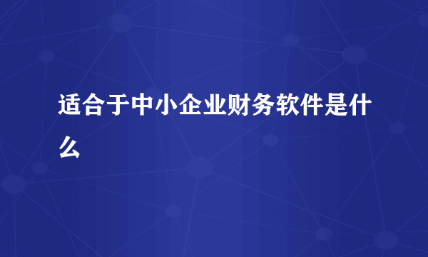 适合于中小企业财务软件是什么