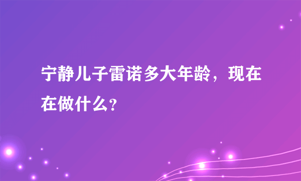 宁静儿子雷诺多大年龄，现在在做什么？