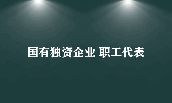 国有独资企业 职工代表