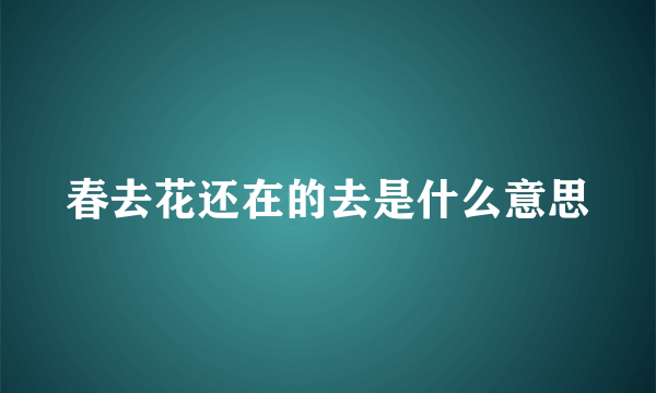 春去花还在的去是什么意思