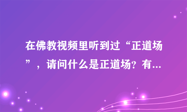 在佛教视频里听到过“正道场”，请问什么是正道场？有“不正”的道场吗？哪些是“不正”道场？