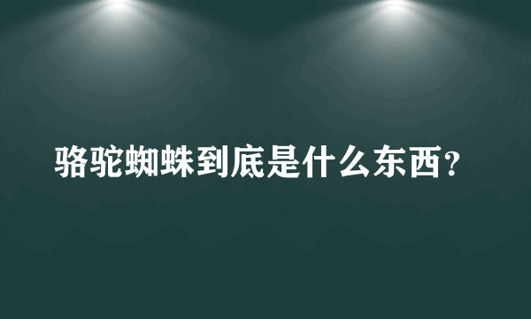 骆驼蜘蛛到底是什么东西？