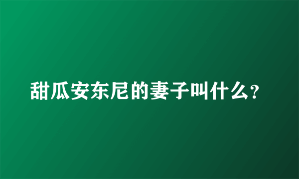 甜瓜安东尼的妻子叫什么？