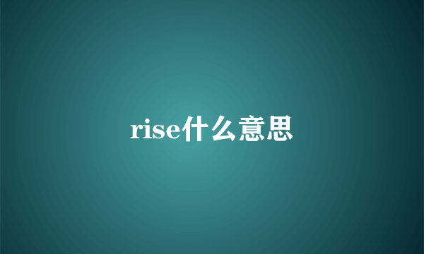 rise什么意思