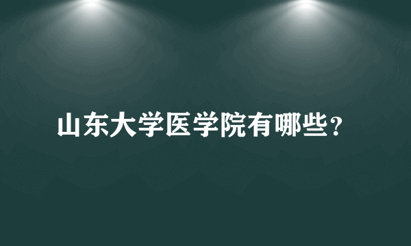 山东大学医学院有哪些？