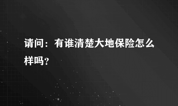 请问：有谁清楚大地保险怎么样吗？