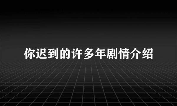 你迟到的许多年剧情介绍