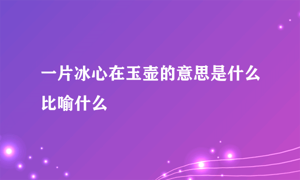 一片冰心在玉壶的意思是什么比喻什么