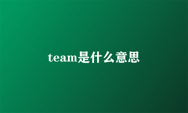 team是什么意思