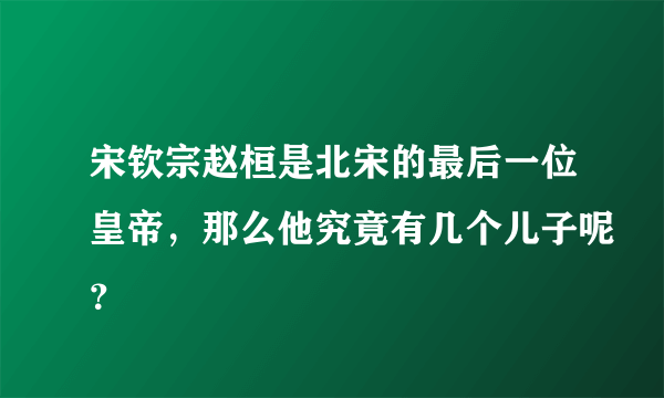 宋钦宗赵桓是北宋的最后一位皇帝，那么他究竟有几个儿子呢？