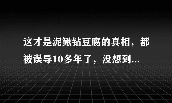 这才是泥鳅钻豆腐的真相，都被误导10多年了，没想到真相是这样的