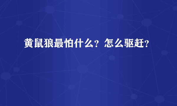 黄鼠狼最怕什么？怎么驱赶？