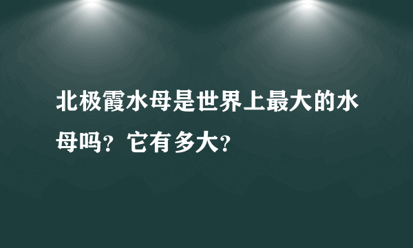 北极霞水母是世界上最大的水母吗？它有多大？