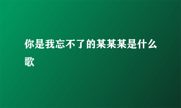 你是我忘不了的某某某是什么歌