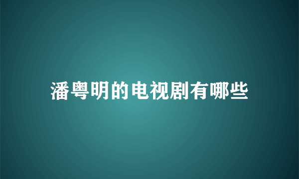 潘粤明的电视剧有哪些