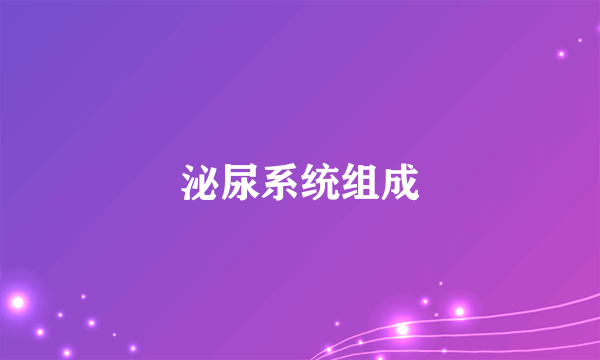 泌尿系统组成