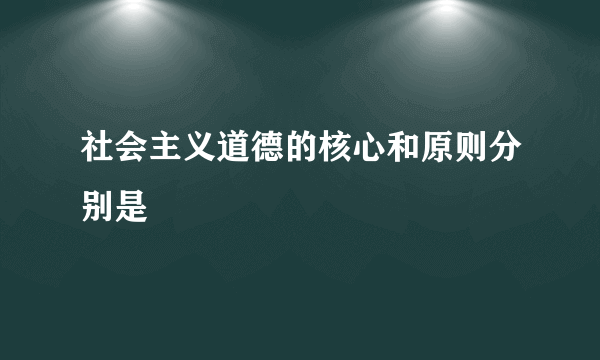 社会主义道德的核心和原则分别是