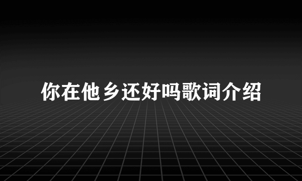 你在他乡还好吗歌词介绍