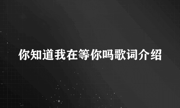 你知道我在等你吗歌词介绍