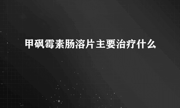 甲砜霉素肠溶片主要治疗什么