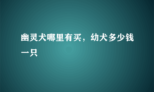 幽灵犬哪里有买，幼犬多少钱一只