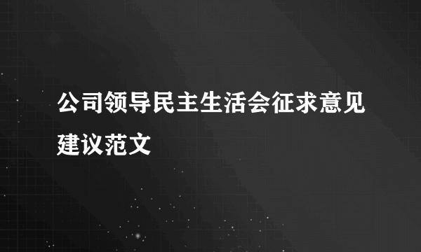 公司领导民主生活会征求意见建议范文