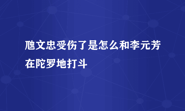 虺文忠受伤了是怎么和李元芳在陀罗地打斗